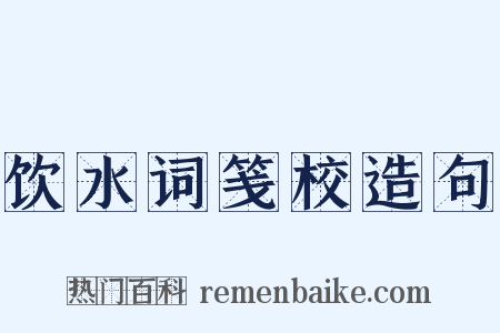 饮水词笺校造句是什么意思的图片